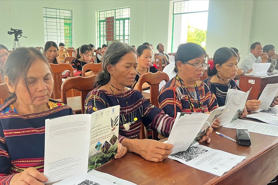 Gia Lai: Khởi động Dự án phát triển cây dược liệu sa nhân tím gắn với bảo vệ rừng và sinh kế cộng đồng