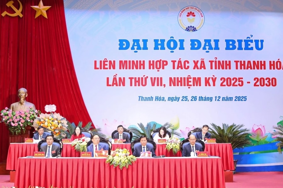 Phát triển kinh tế tập thể bền vững từ hệ thống Liên minh HTX Thanh Hóa