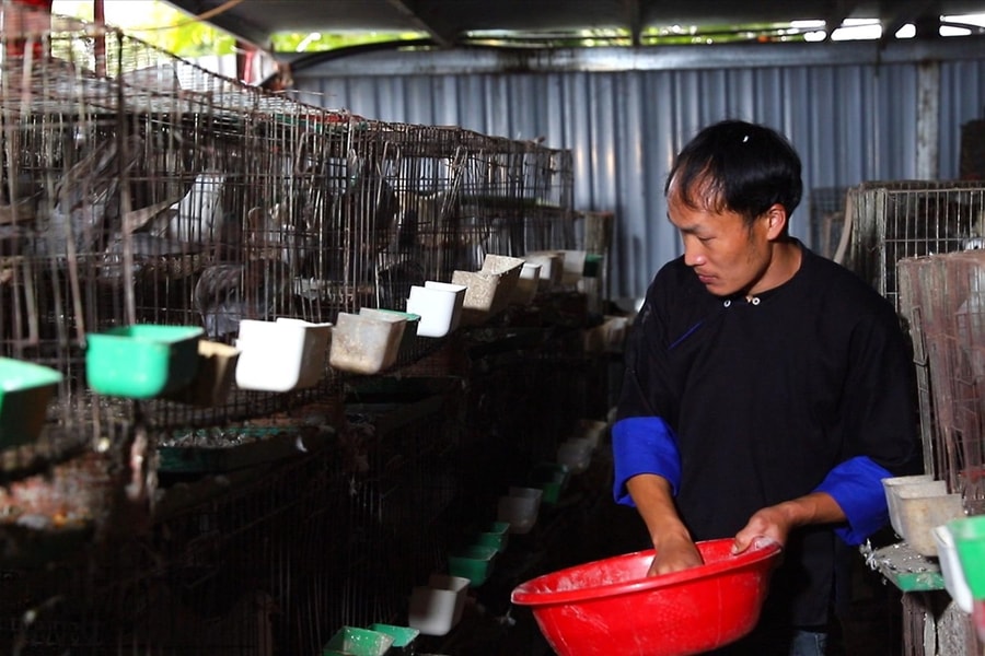 Cầu nối ý Đảng - lòng dân dưới chân Hoàng Liên