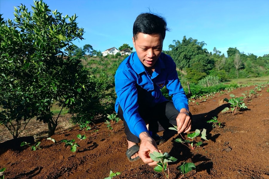 Những đảng viên trẻ nhiệt huyết ở Gia Lai
