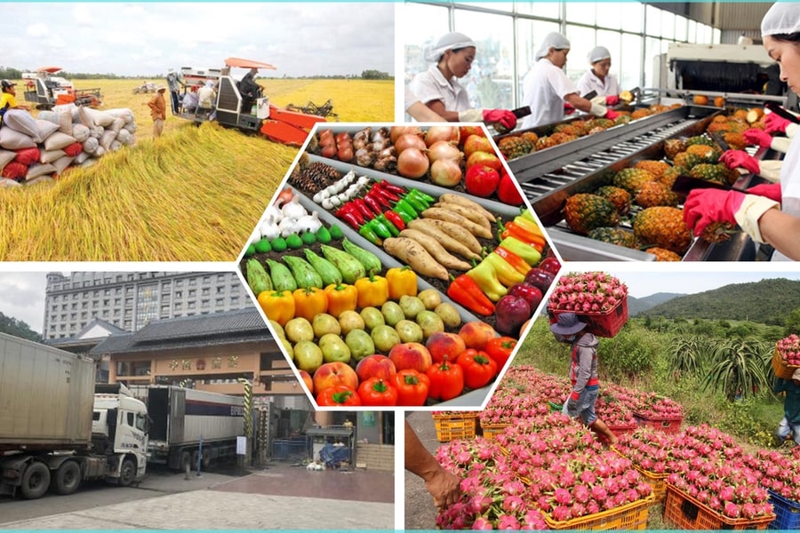Sản xuất nông nghiệp năm 2025 bứt phá mạnh mẽ, nông - lâm - thủy sản tiếp tục là trụ đỡ của nền kinh tế