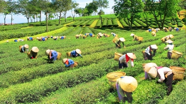 Nhiệm vụ, giải pháp chủ yếu thực hiện Kế hoạch phát triển kinh tế - xã hội và dự toán ngân sách nhà nước năm 2026