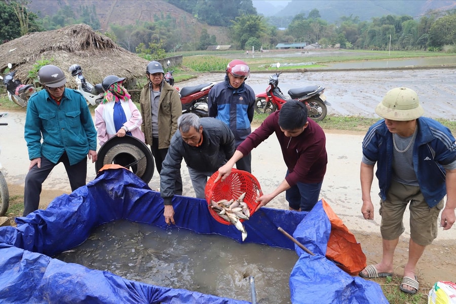 Tuyên Quang: Mở hướng tăng thu nhập cho người dân xã Liên Hiệp