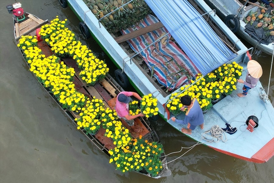 Tết đặc biệt ở chợ nổi Cần Thơ