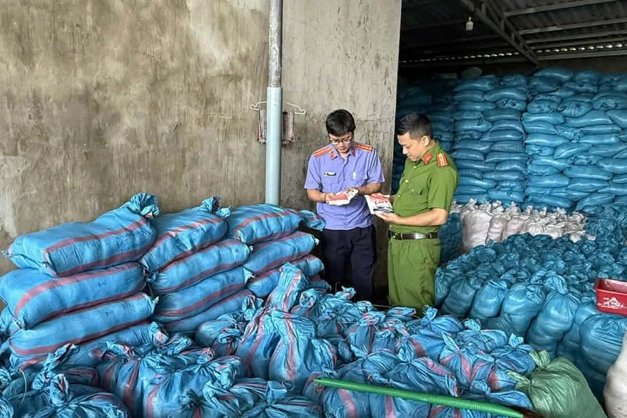Khởi tố nữ giám đốc sản xuất hàng ngàn tấn muối I- ốt giả