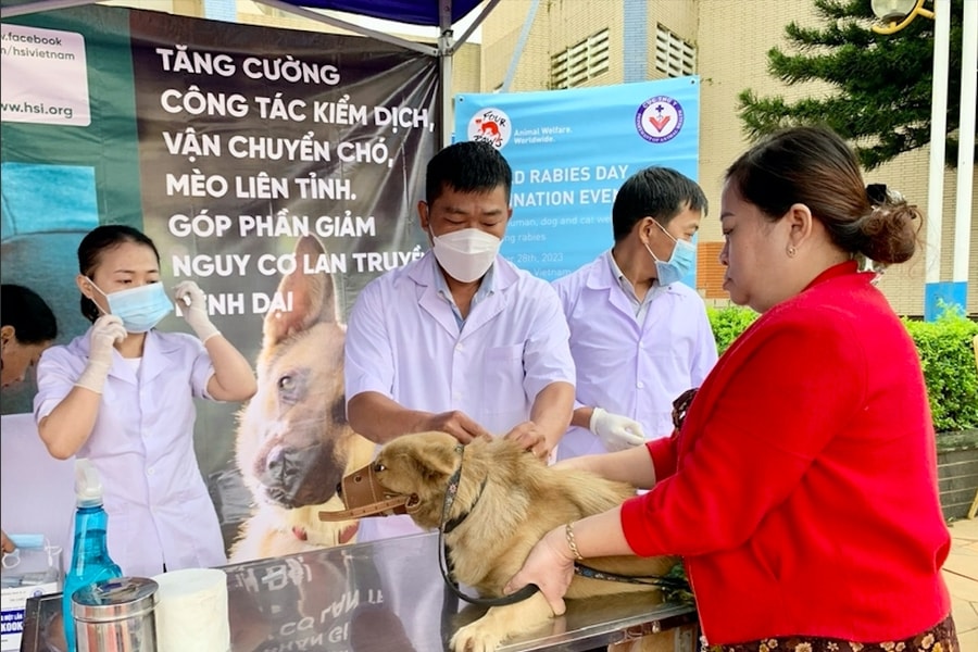 Gia Lai tích cực phòng - chống bệnh dại