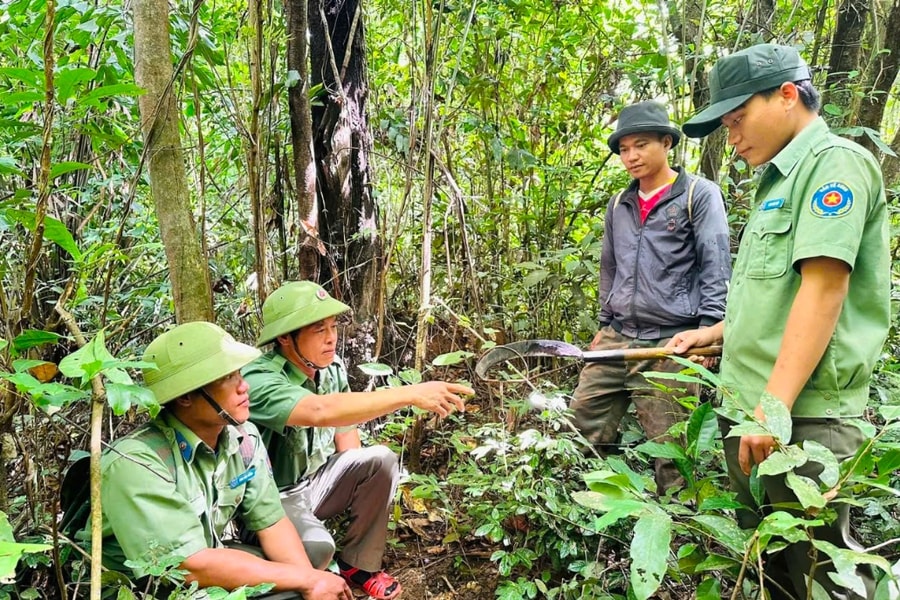 Rừng "trả nợ" sinh kế cho đồng bào