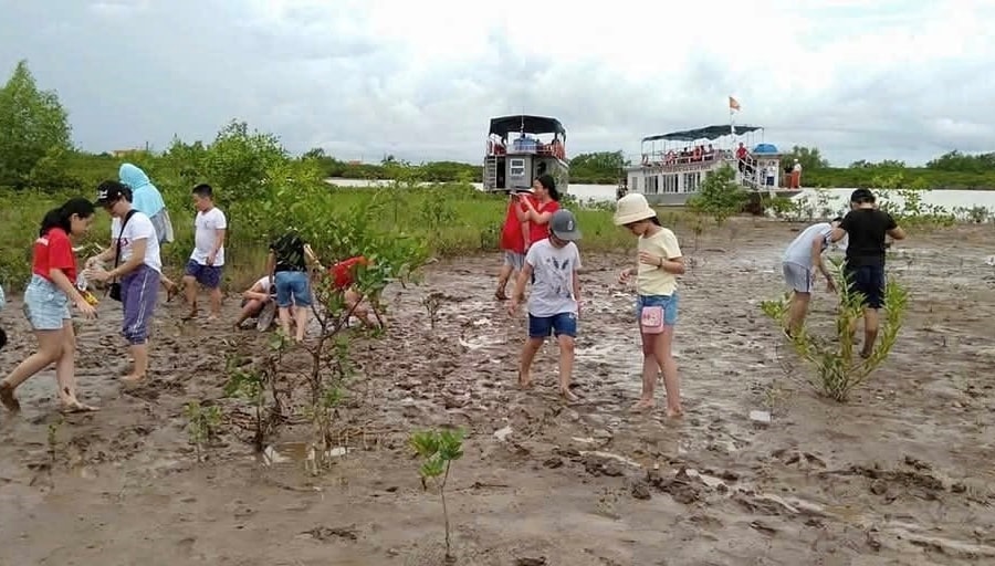 Hơn 464 tỷ đồng phát triển Du lịch sinh thái Vườn quốc gia Xuân Thủy