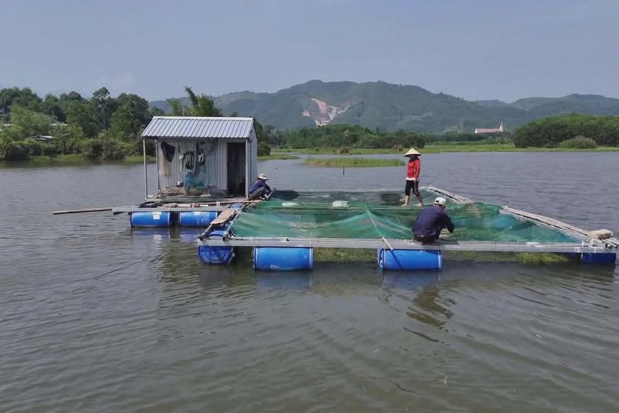 Hộ đồng bào DTTS  A Lưới tìm hướng thoát nghèo từ nuôi cá lồng trên sông giáp biên