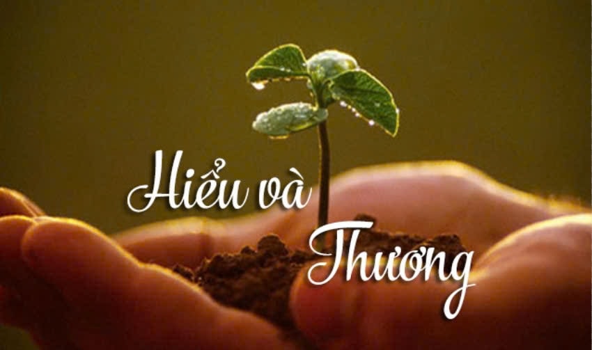 Hiểu và Thương: Nghệ thuật kết nối sâu trong xã hội hiện đại
