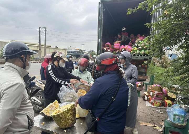 Nông dân Tây Nam Bộ "ngồi trên lửa" khi giá nông sản lao dốc