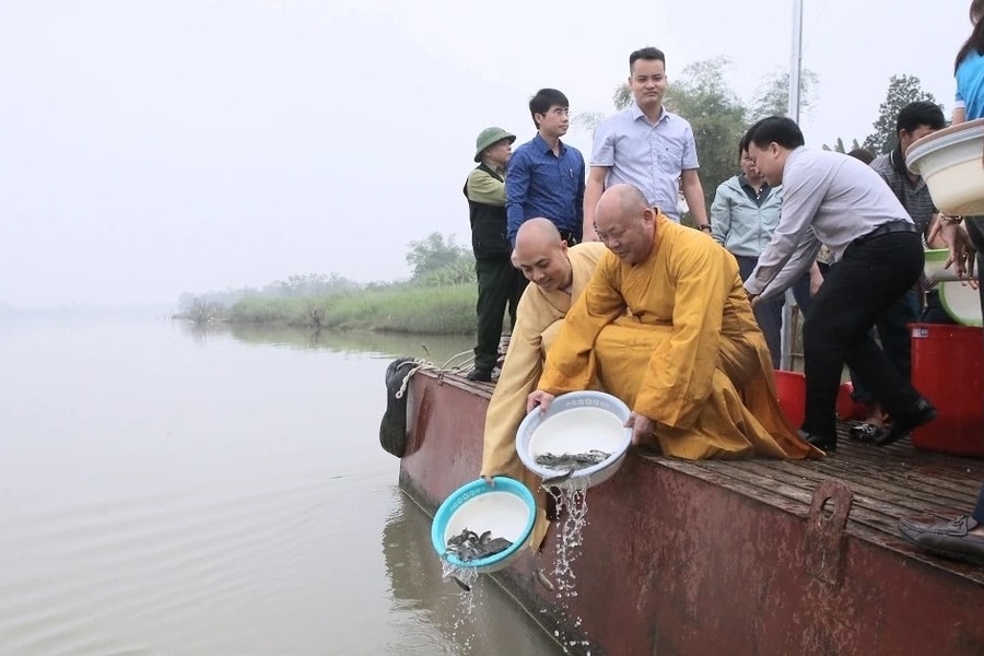 Thả hơn 2 tấn cá giống xuống lưu vực sông Mã
