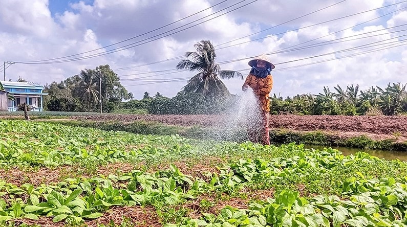 Đồng bào Khmer thêm một mùa Tết Chôl Chnăm Thmây khởi sắc