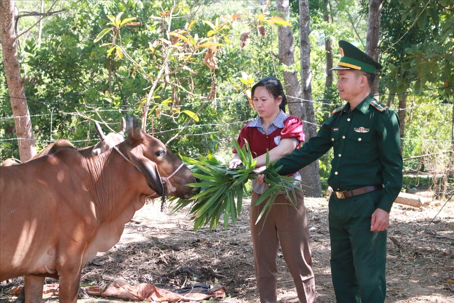 Quảng Ngãi: Khi bộ đội trở thành "người nhà" của hộ đồng bào DTTS nghèo