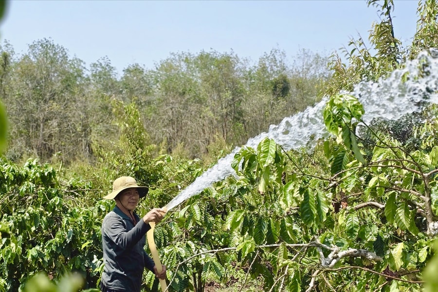 Nông dân Gia Lai tìm nhiều cách để  tiết kiệm nhiên liệu sản xuất
