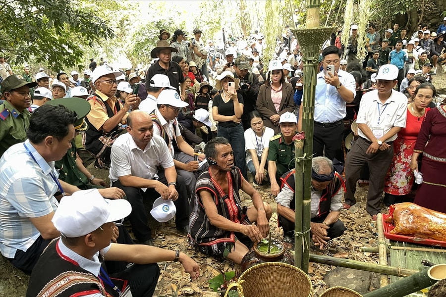 Hàng ngàn người dân tham gia Lễ cúng rừng của đồng bào Gia Rai