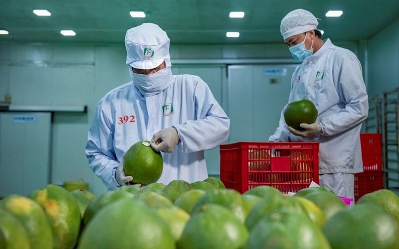 Tin vui cho nông dân Việt Nam khi Trung Quốc chính thức mở cửa xuất khẩu bưởi và chanh
