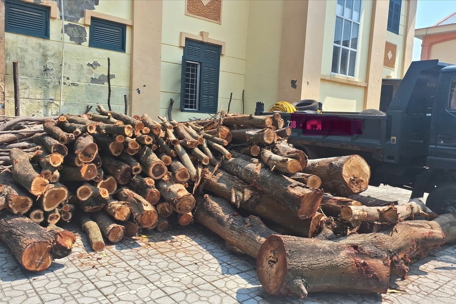 Chi cục Kiểm lâm Quảng Trị chỉ đạo làm rõ vụ phá rừng phòng hộ Bàu Tró