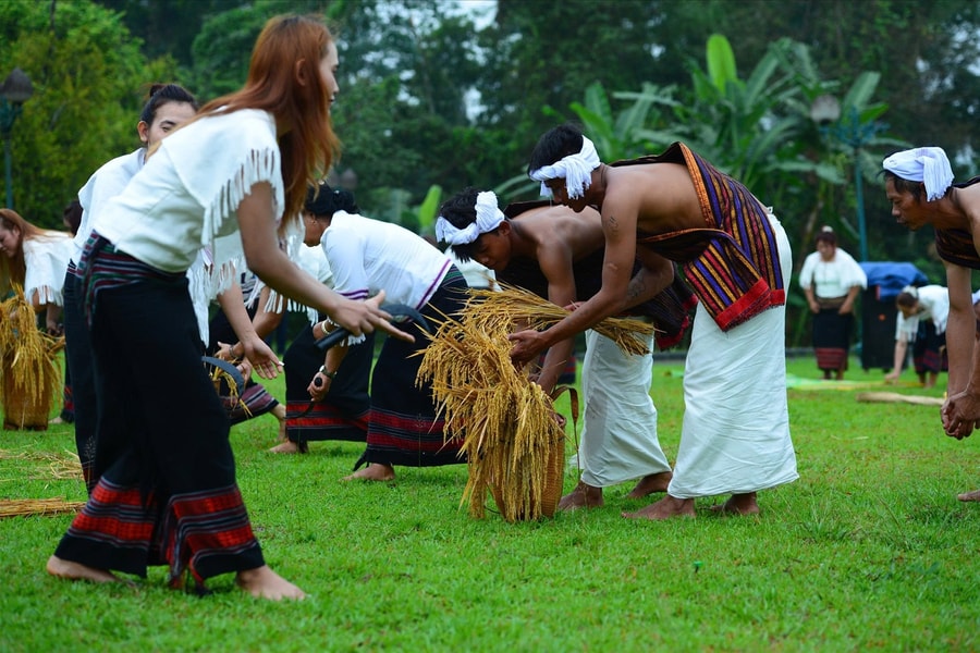 Trải nghiệm nghi thức mừng lúa mới của đồng bào Chu Ru