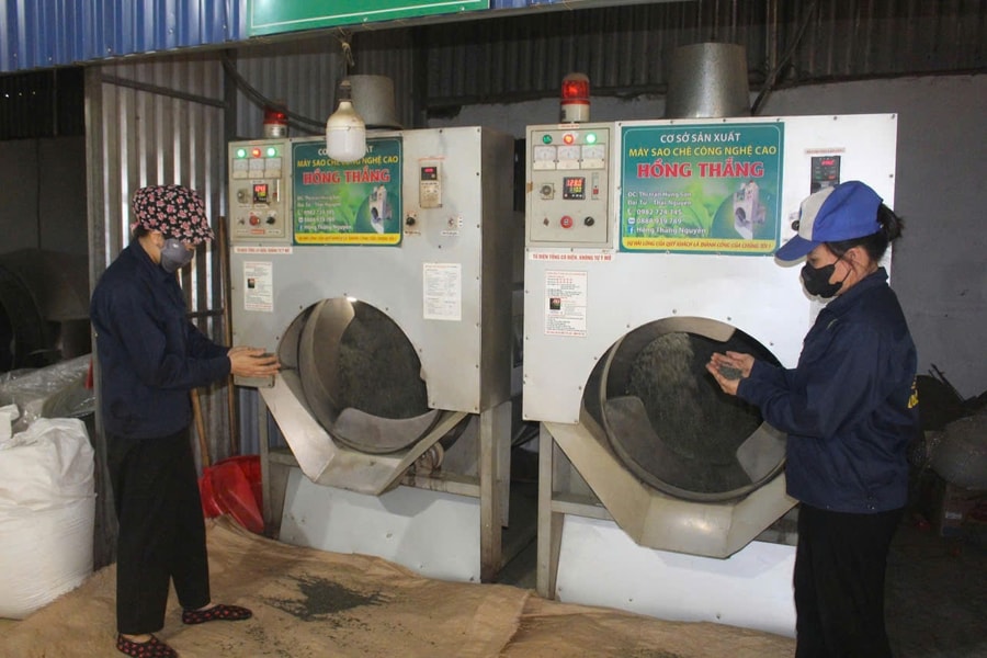 Chè Thái Nguyên bứt phá mạnh mẽ, hướng tới “cây trồng tỷ đô”