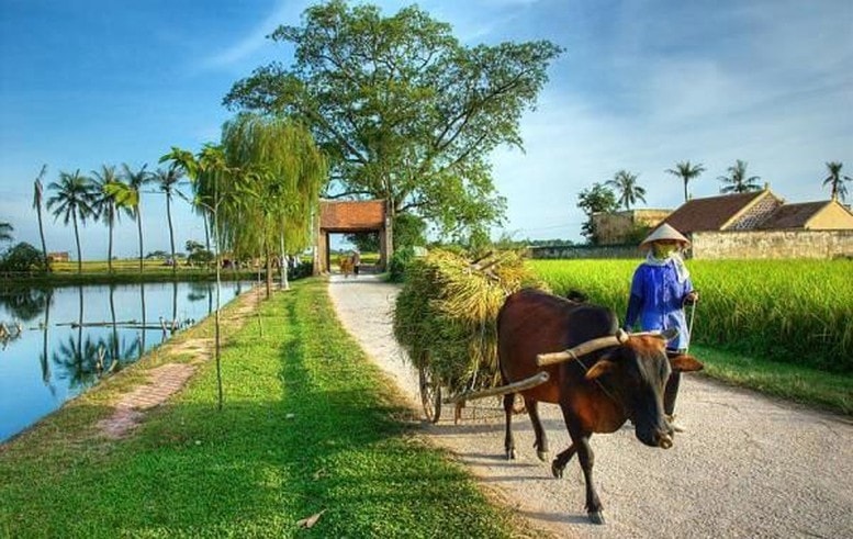 Điều kiện công nhận xã đạt chuẩn nông thôn mới, nông thôn mới hiện đại giai đoạn 2026 - 2030