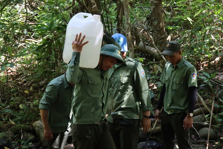 Thiếu nước, nhân viên bảo vệ rừng ở Quảng Ngãi phải lấy nước suối về sinh hoạt
