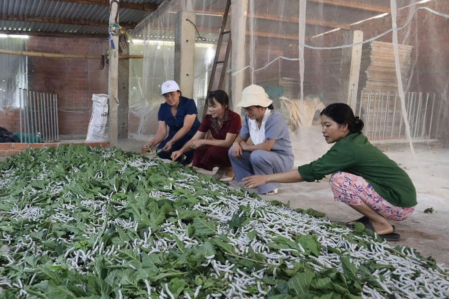 Sinh kế bền vững với nghề "ăn cơm đứng"