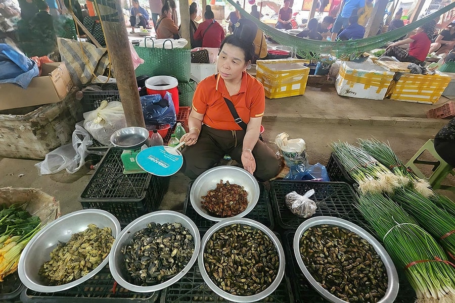 Chợ côn trùng độc lạ ở vùng cao Tây Bắc