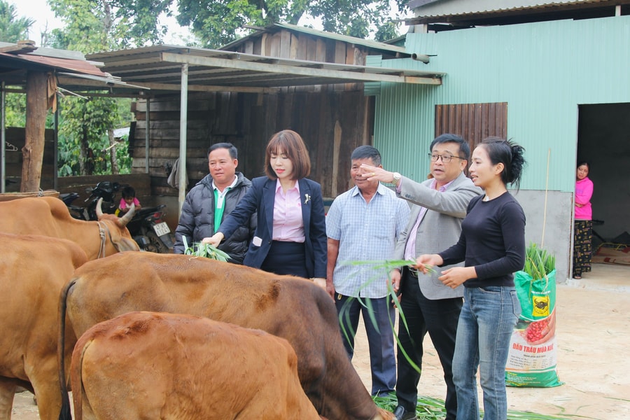 Dòng vốn mở đường cho buôn làng Tây Nguyên đổi thay: Tín dụng chính sách định hình tương lai cho bà con (Bài cuối)
