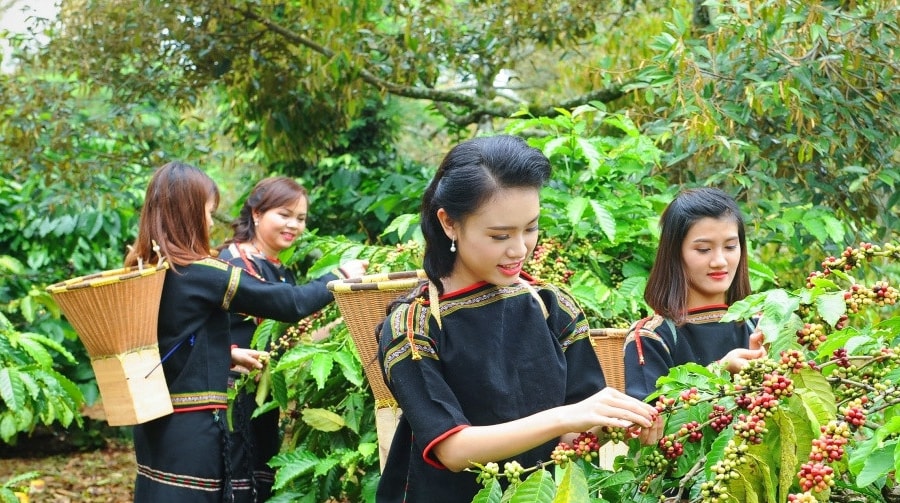 Ông Ksor Phước: Từ những 'làng 6 không', bà con nay đã biết làm kinh tế hàng hóa