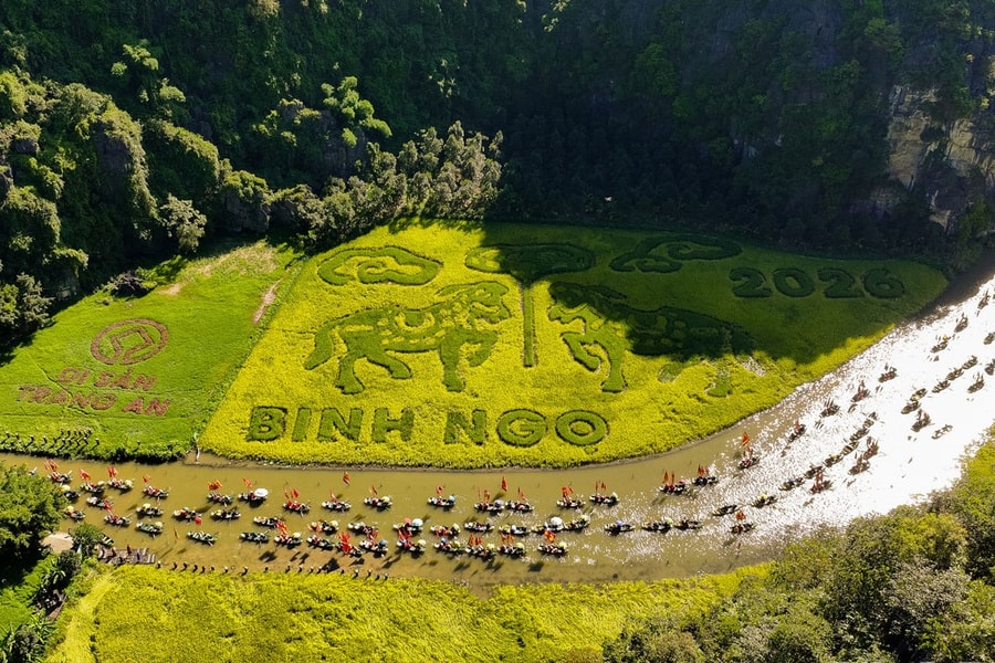 Lễ hội Sắc vàng Tam Cốc - Tràng An 2026 thu hút hàng nghìn du khách