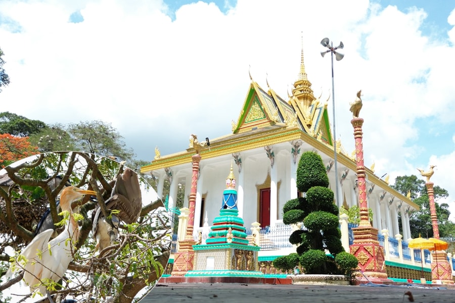 Ngôi cổ tự 3 thế kỷ là “mái nhà” của đàn chim trời