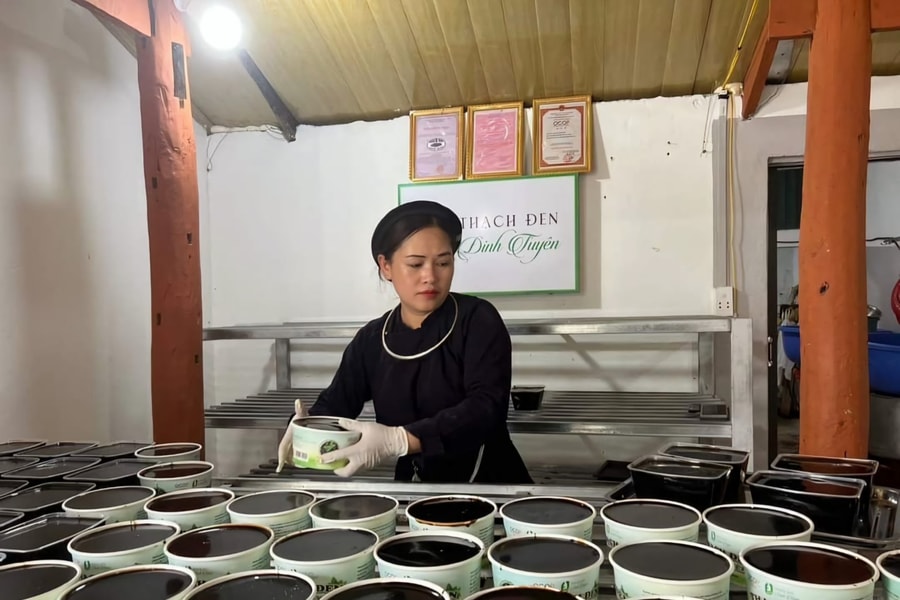 Món ăn giải nhiệt từ cây tiên thảo ở non núi Cao Bằng