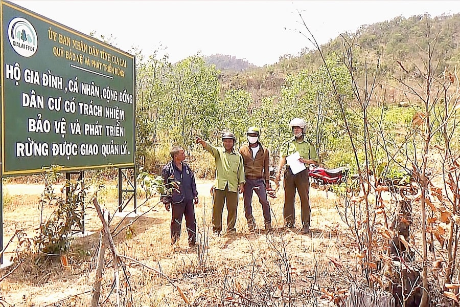 Gia Lai: Giải pháp để bảo vệ đất rừng, tài nguyên rừng vùng giáp ranh bình yên