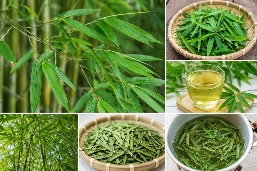 Lá tre - Vị thuốc dân gian nhiều công dụng chữa bệnh bất ngờ