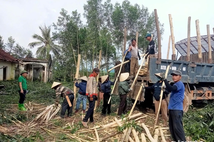 Nghịch lý giữa “thủ phủ rừng” và sinh kế dưới tán rừng ở Nghệ An: Giá trị kinh tế từ rừng vẫn thấp?! (Bài 2)