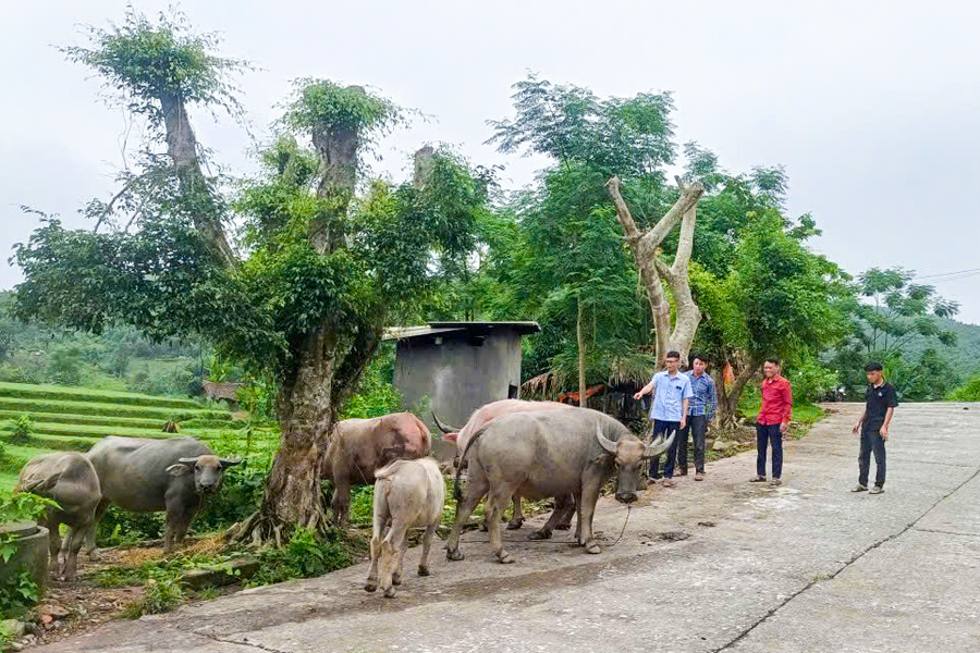 Tuyên Quang xây dựng nông thôn mới theo hướng hiện đại, bền vững