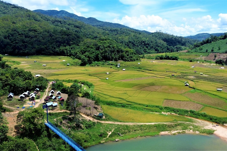 Bức tranh ngày mùa ở làng người Mơ Nâm