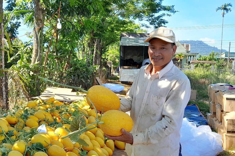Nông dân Đắk Lắk nghĩ lớn để làm giàu
