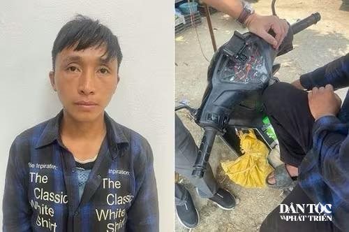 Vào rừng bắt rùa quý hiếm đi bán, thanh niên DTTS ở Lào Cai vướng vòng lao lý