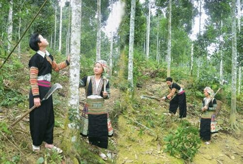 Gần 60.000 hương ước, quy ước của cộng đồng dân cư: Tiếp tục hoàn thiện quy định để phát huy hiệu quả