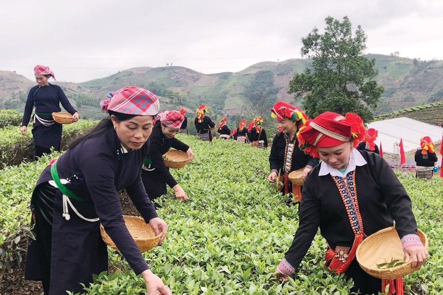 Hiện thực hóa chính sách dân tộc - nhìn từ Lào Cai