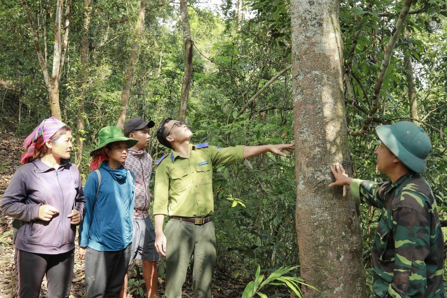 Ghé thăm "lá phổi xanh" của vùng Tây Bắc