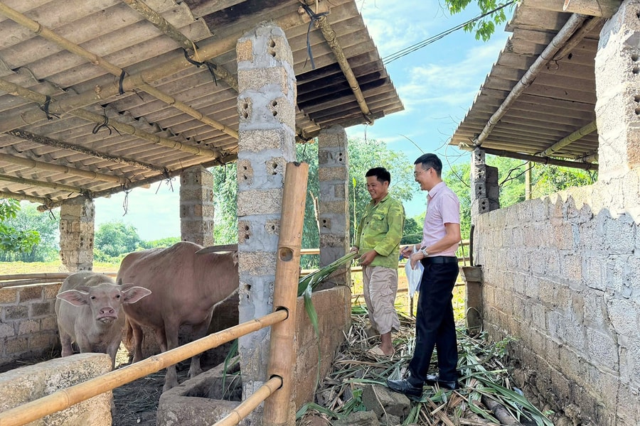 Những mùa "quả ngọt" từ tín dụng chính sách ở Tân Lạc