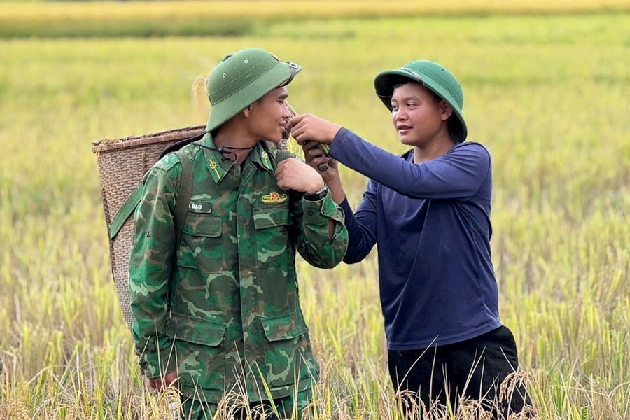Bộ đội về làng thu hoạch lúa giúp đồng bào DTTS