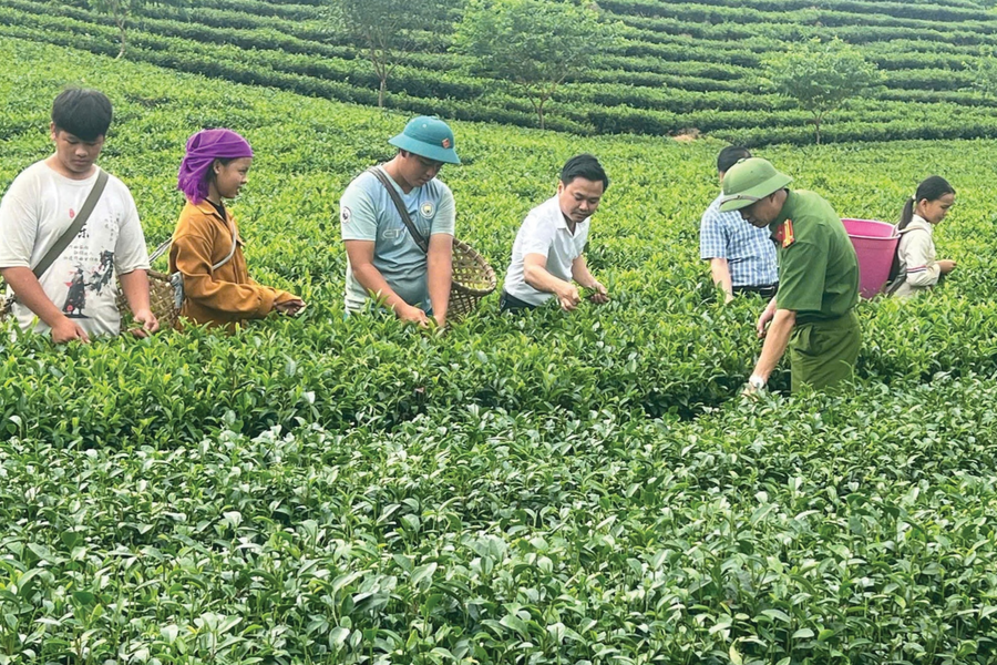 Khơi thông tư duy sản xuất - Chìa khóa để người dân thoát nghèo
