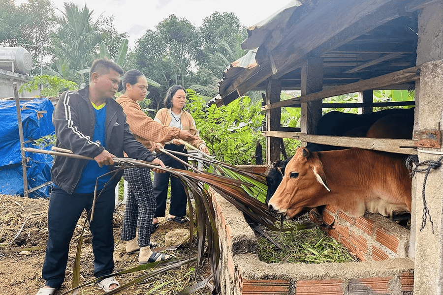 Gia Lai: Khi những con đường thay đổi cả một vùng đất