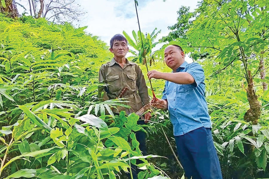 Những “cây đại thụ” ở bản Mông vùng biên Nhi Sơn