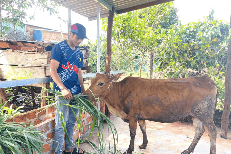 Gia Lai giảm tỷ lệ hộ nghèo vùng đồng bào DTTS và miền núi xuống dưới 10%