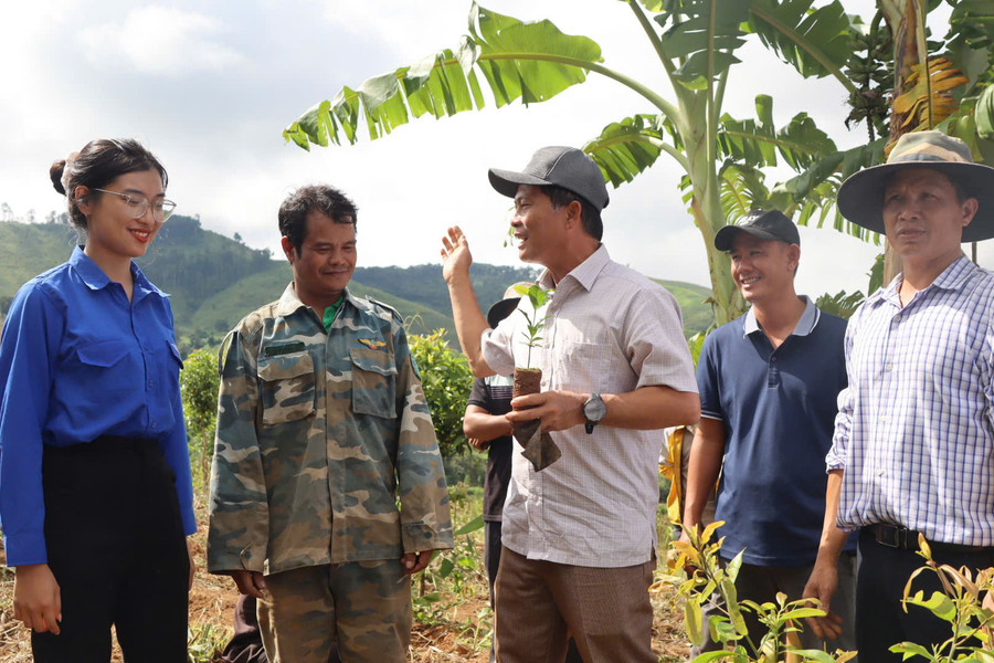 Tu Mơ Rông chuyển “đại hội không hoa” thành 1 triệu cây giống miễn phí cho dân